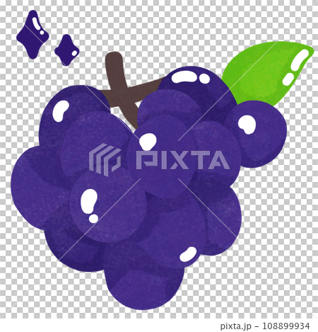 grapes grapes 108899934