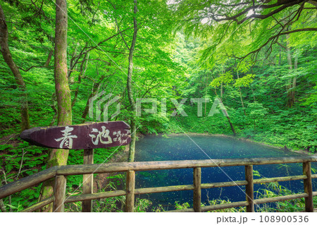 青池 青池 108900536