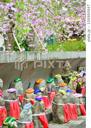 京都 紫雲山頂法寺 六角堂のお地蔵様と桜（京都市中京区） 108900847