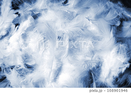 Blue feather pattern background texture 108901946