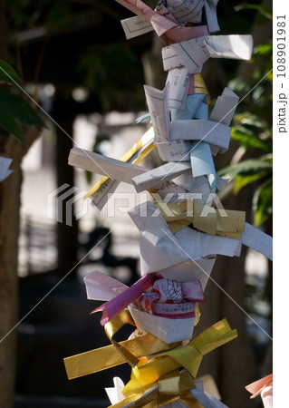 神社のおみくじ結び所 神社のおみくじ結び所 108901981