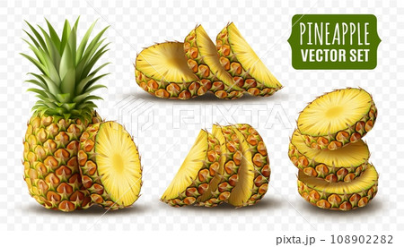 Realistic pineapple. Ananas slices, half and whole fruit, juice tropical background, green natural fresh food with leaf. Juicy vitamin dessert packaging design. Vector isolated illustration Realistic pineapple. Ananas slices, half and whole fruit, juice tropical background, green natural fresh food with leaf. Juicy vitamin dessert packaging design. Vector isolated illustration 108902282