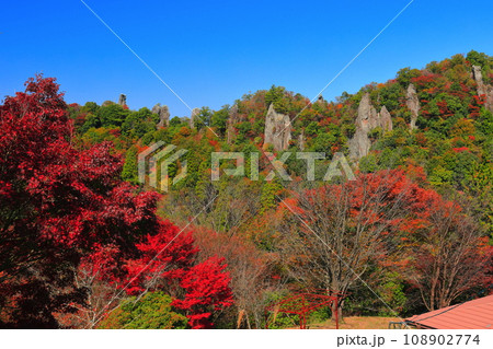 【大分県】晴天の耶馬渓の紅葉（立羽田の景） 108902774