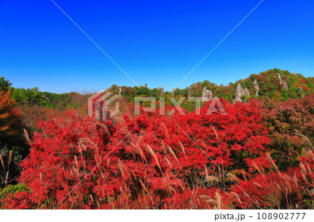 【大分県】晴天の耶馬渓の紅葉（立羽田の景） 108902777