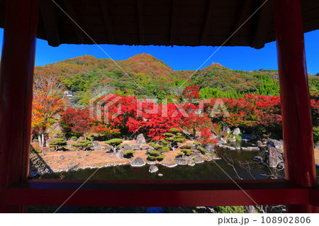 【大分県】快晴の溪石園の紅葉(耶馬溪ダム記念公園) 【大分県】快晴の溪石園の紅葉(耶馬溪ダム記念公園) 108902806