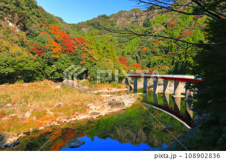 【大分県】晴天の耶馬渓の紅葉（第二山国川鉄橋） 108902836