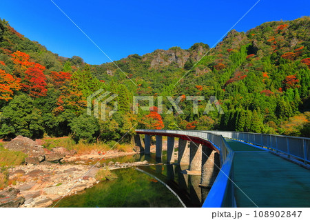 【大分県】晴天の耶馬渓の紅葉（第二山国川鉄橋） 108902847