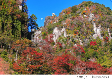【大分県】紅葉の深耶馬渓（一目八景） 108902853