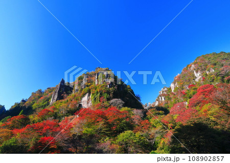 【大分県】紅葉の深耶馬渓(一目八景) 【大分県】紅葉の深耶馬渓(一目八景) 108902857