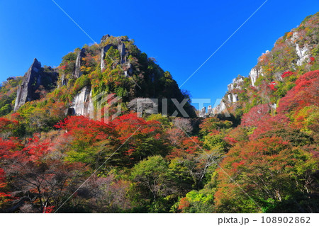 【大分県】紅葉の深耶馬渓（一目八景） 108902862