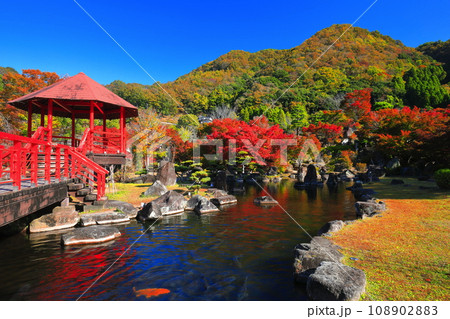 【大分県】快晴の溪石園の紅葉(耶馬溪ダム記念公園) 【大分県】快晴の溪石園の紅葉(耶馬溪ダム記念公園) 108902883