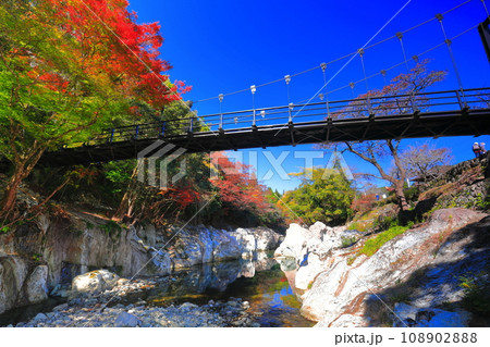 【大分県】快晴の猿飛千壺峡の紅葉(奥耶馬渓) 【大分県】快晴の猿飛千壺峡の紅葉(奥耶馬渓) 108902888