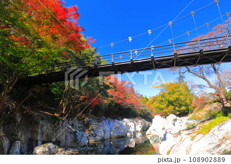 【大分県】快晴の猿飛千壺峡の紅葉(奥耶馬渓) 【大分県】快晴の猿飛千壺峡の紅葉(奥耶馬渓) 108902889