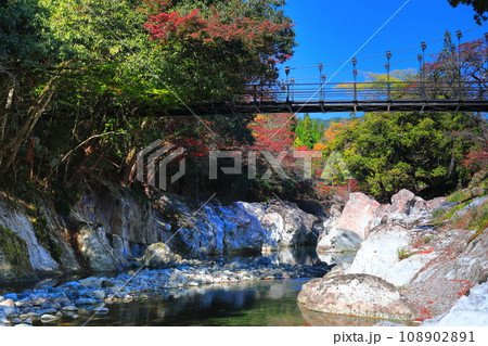【大分県】快晴の猿飛千壺峡の紅葉(奥耶馬渓) 【大分県】快晴の猿飛千壺峡の紅葉(奥耶馬渓) 108902891