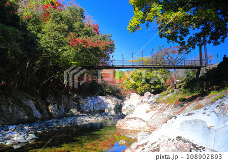 【大分県】快晴の猿飛千壺峡の紅葉（奥耶馬渓） 108902893