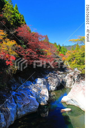 【大分県】快晴の猿飛千壺峡の紅葉（奥耶馬渓） 108902902