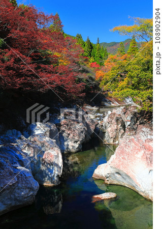 【大分県】快晴の猿飛千壺峡の紅葉（奥耶馬渓） 108902904