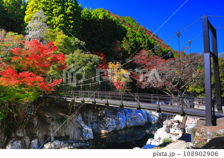 【大分県】快晴の猿飛千壺峡の紅葉(奥耶馬渓) 【大分県】快晴の猿飛千壺峡の紅葉(奥耶馬渓) 108902906