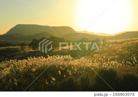 【福岡県】秋の平尾台（日本三大カルスト） 108903078