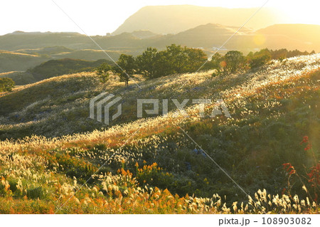 【福岡県】秋の平尾台（日本三大カルスト） 108903082