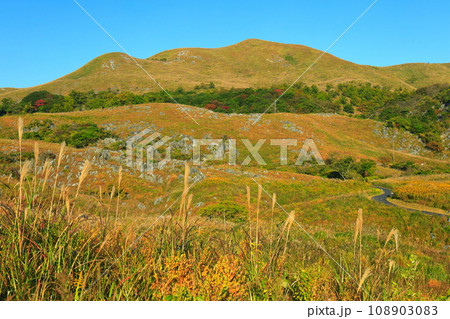 【福岡県】秋の平尾台(日本三大カルスト) 【福岡県】秋の平尾台(日本三大カルスト) 108903083