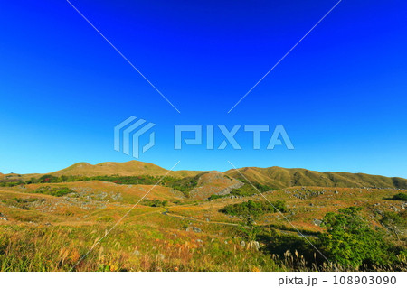 【福岡県】秋の平尾台（日本三大カルスト） 108903090