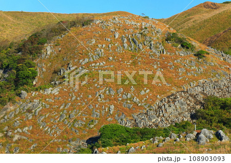 【福岡県】秋の平尾台（日本三大カルスト） 108903093