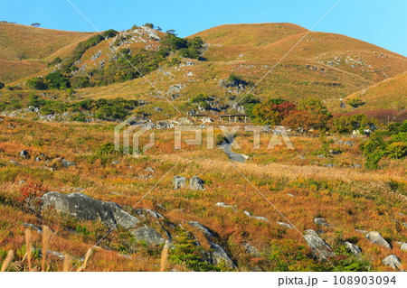 【福岡県】秋の平尾台（日本三大カルスト） 108903094