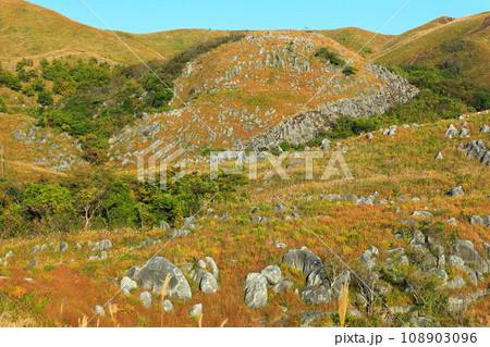 【福岡県】秋の平尾台（日本三大カルスト） 108903096