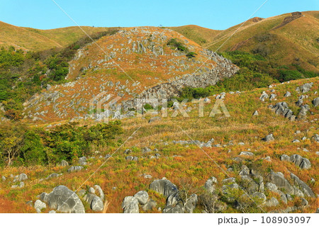 【福岡県】秋の平尾台（日本三大カルスト） 108903097