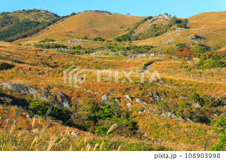 【福岡県】秋の平尾台（日本三大カルスト） 108903098