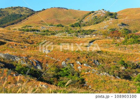 【福岡県】秋の平尾台(日本三大カルスト) 【福岡県】秋の平尾台(日本三大カルスト) 108903100