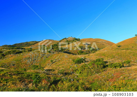 【福岡県】秋の平尾台(日本三大カルスト) 【福岡県】秋の平尾台(日本三大カルスト) 108903103