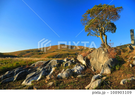 【福岡県】秋の平尾台（日本三大カルスト） 108903109