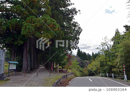 眼目山立山寺のトガ並木(富山県上市町) 眼目山立山寺のトガ並木(富山県上市町) 108903164