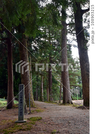 眼目山立山寺のトガ並木(富山県上市町) 108903215