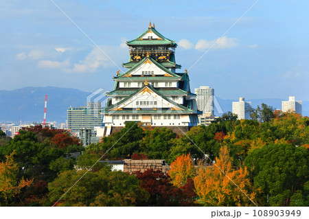 【大阪府】晴天の大阪城と紅葉 108903949