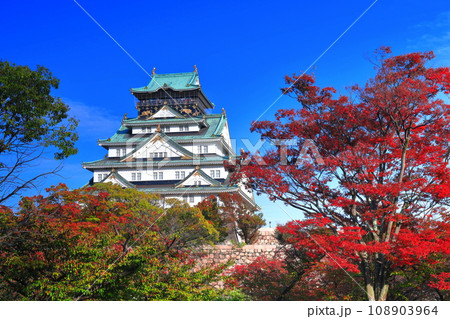 【大阪府】快晴の大阪城と紅葉 【大阪府】快晴の大阪城と紅葉 108903964