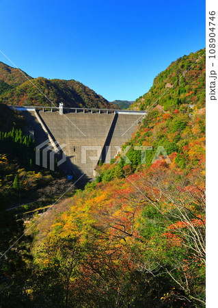 【兵庫県】快晴の長谷ダムと紅葉 108904746