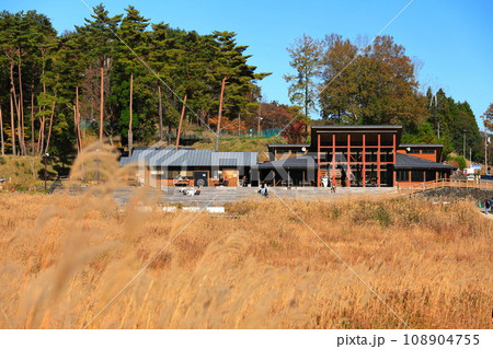 【兵庫県】とのみね自然交流館とススキ 108904755
