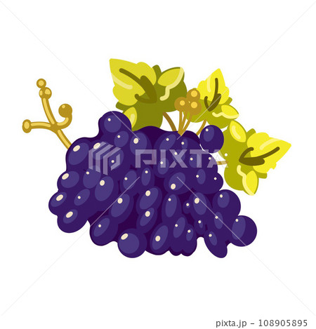 illustration vine branch, great design for any purposes. illustration vine branch, great design for any purposes. 108905895