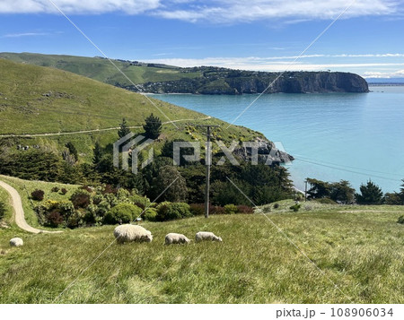 Godley Head Walkway in Christchurch, New Zealand Godley Head Walkway in Christchurch, New Zealand 108906034