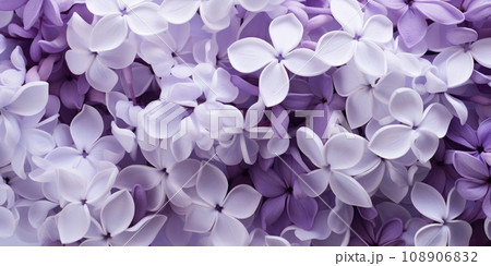 Beautiful spring floral background of purple lilac 108906832