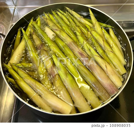 根曲り竹 108908035