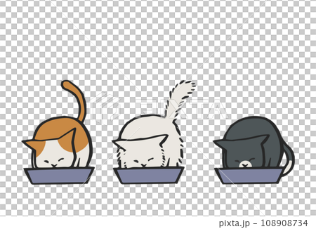 貓咪一起吃飯 108908734