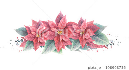 Watercolor painted compositions from red Poinsettia, Pulcherrima flowers, leaves with aquarelle splashes. Plant for Christmas or New Year card, winter holiday celebrate print Isolated white background 108908736