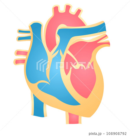シンプルな心臓のイメージイラスト シンプルな心臓のイメージイラスト 108908792