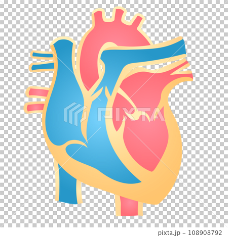 シンプルな心臓のイメージイラスト シンプルな心臓のイメージイラスト 108908792