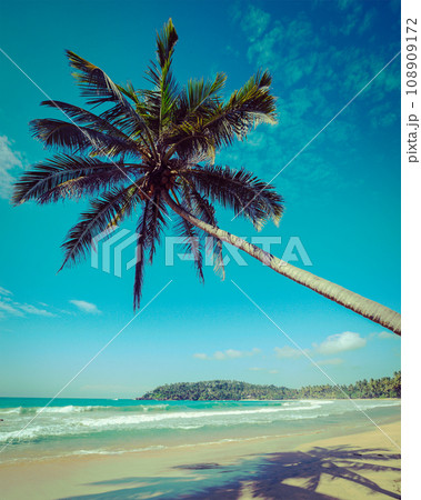 Vintage retro hipster style travel image of tropical paradise idyllic beach with palm. Sri Lanka 108909172
