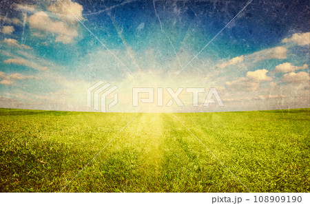 Sunset sun and field of green fresh grass under blue sky Sunset sun and field of green fresh grass under blue sky 108909190